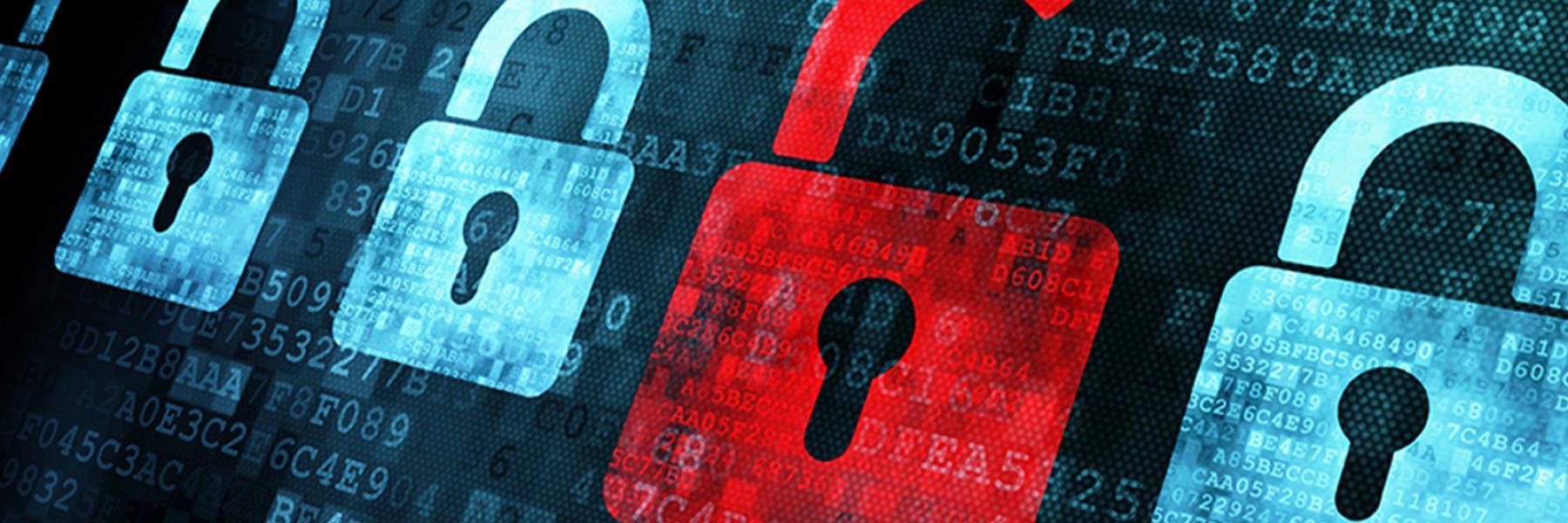 Luís a trabalhar em infraestrutura e cibersegurança